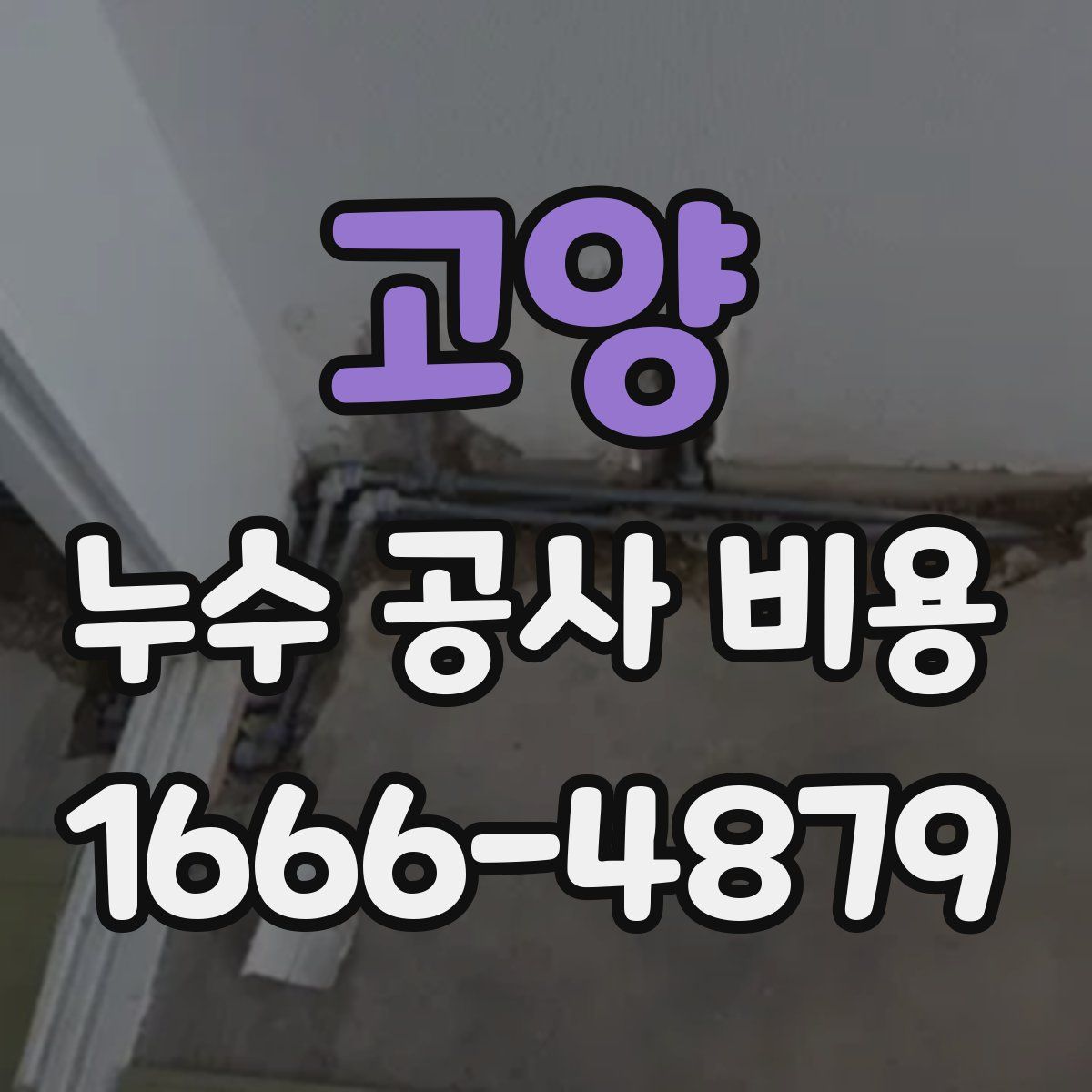 고양 누수 공사 비용