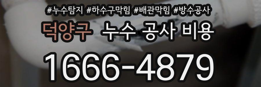 덕양구 누수 공사 비용