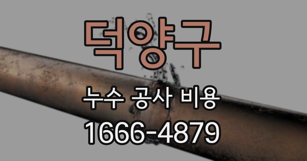 덕양구 누수 공사 비용