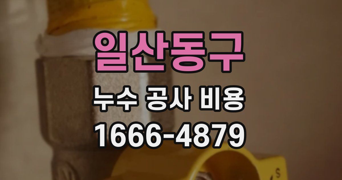 일산동구 누수 공사 비용