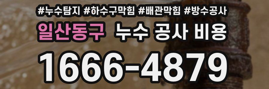 일산동구 누수 공사 비용