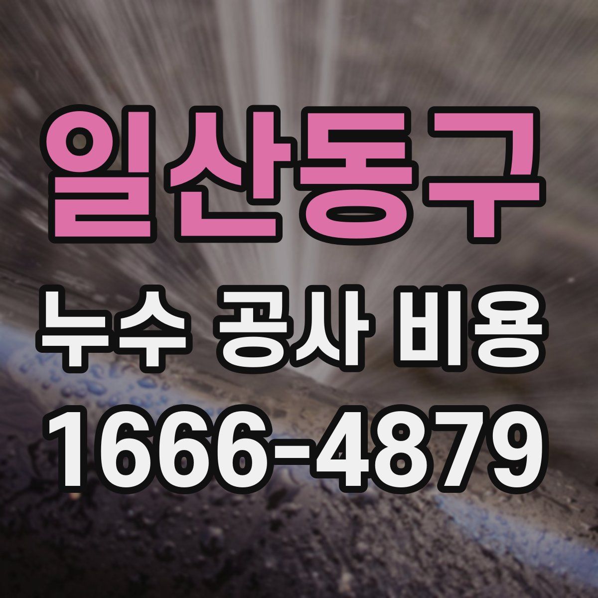 일산동구 누수 공사 비용