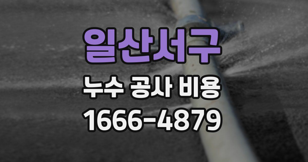 일산서구 누수 공사 비용