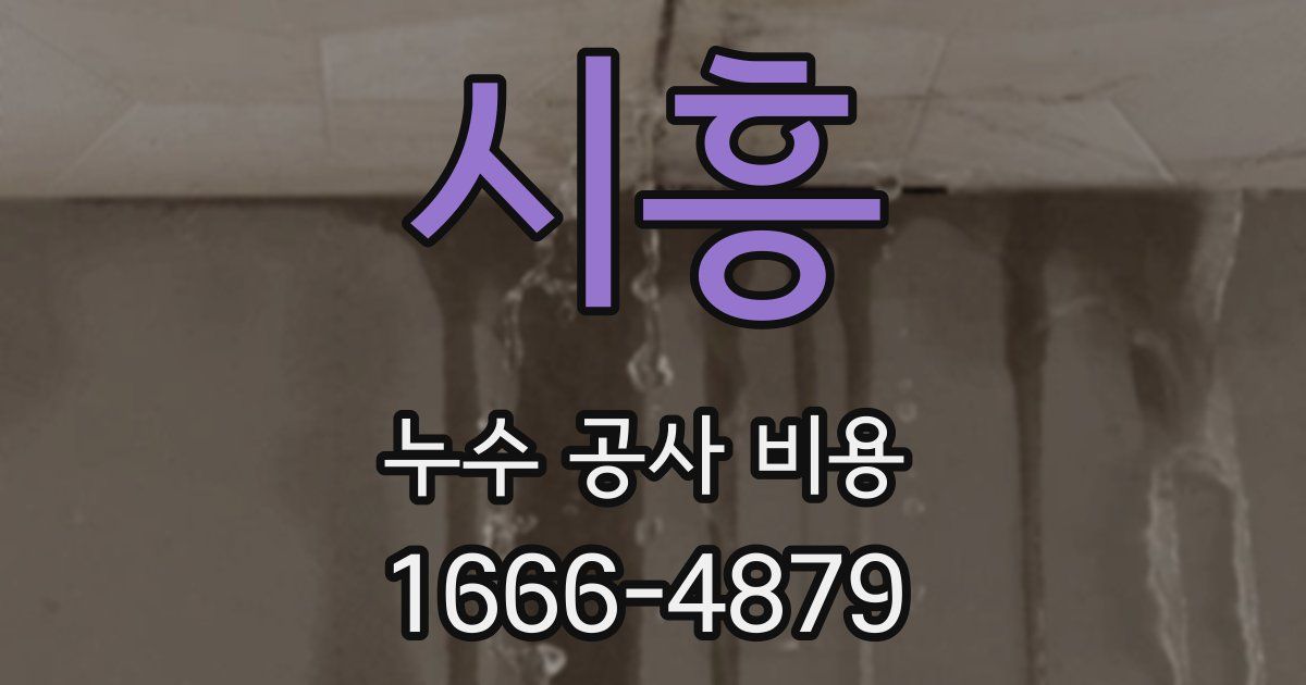 시흥 누수 공사 비용