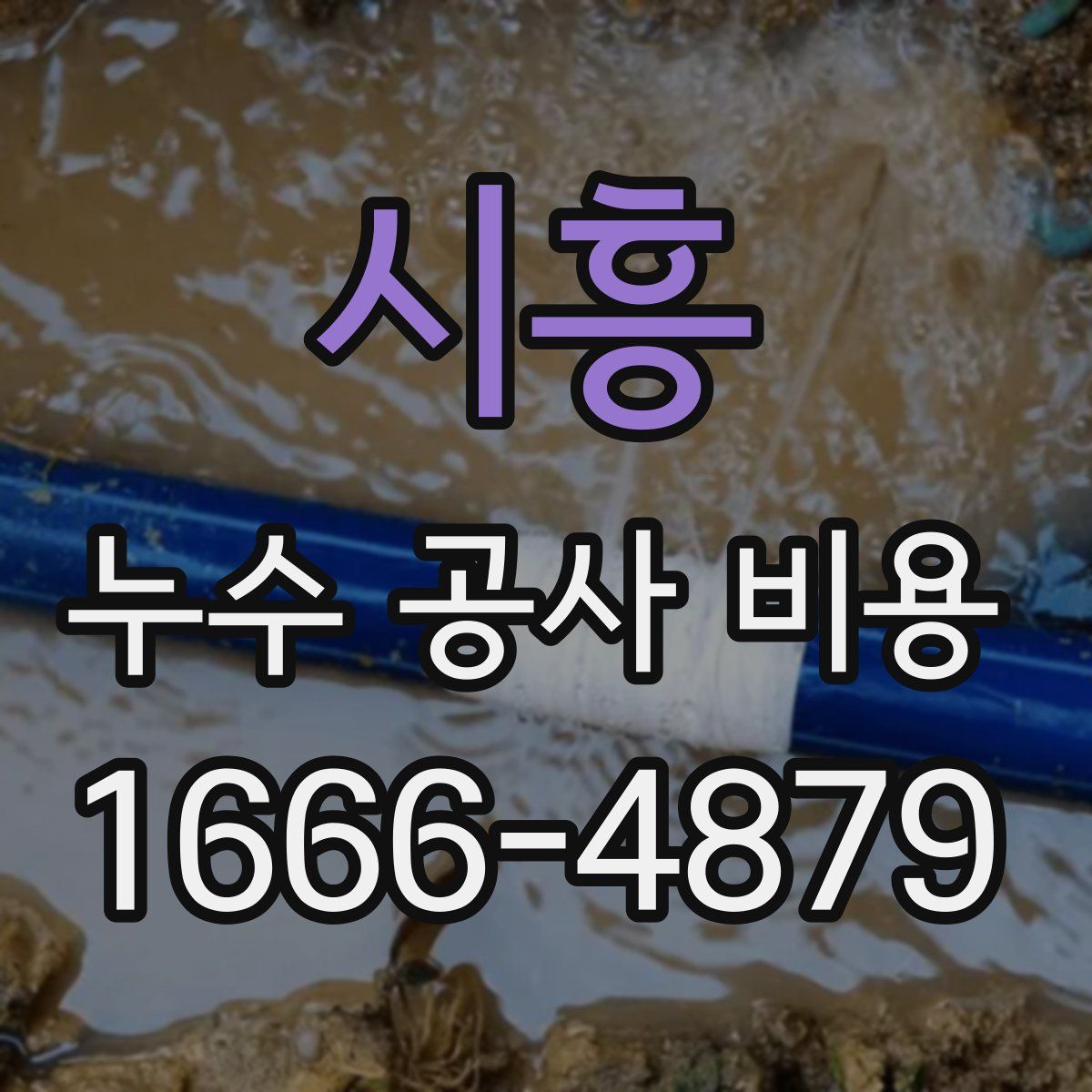 시흥 누수 공사 비용