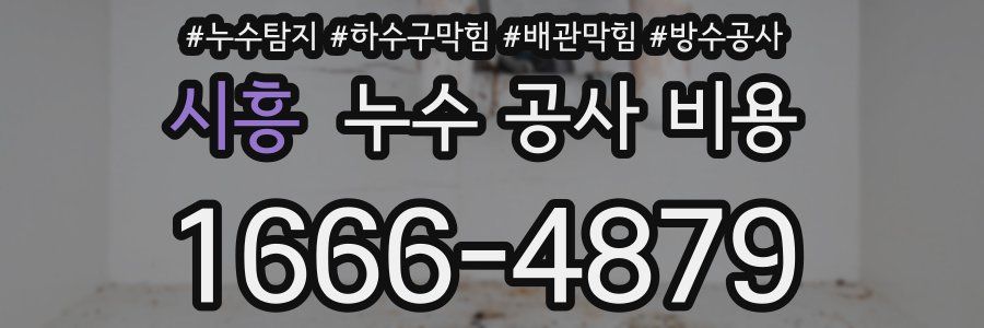 시흥 누수 공사 비용