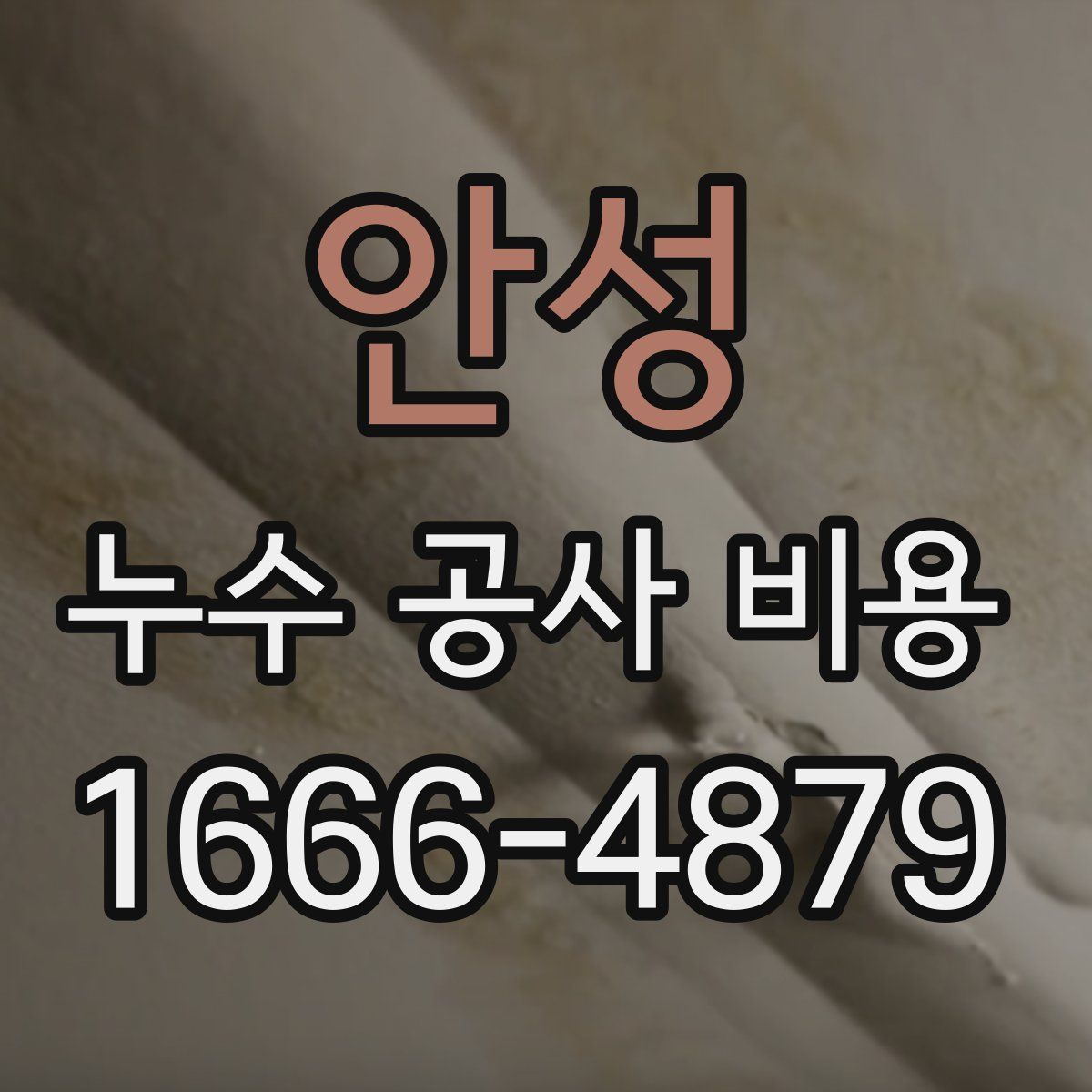 안성 누수 공사 비용