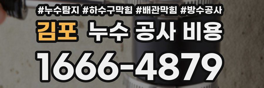 김포 누수 공사 비용