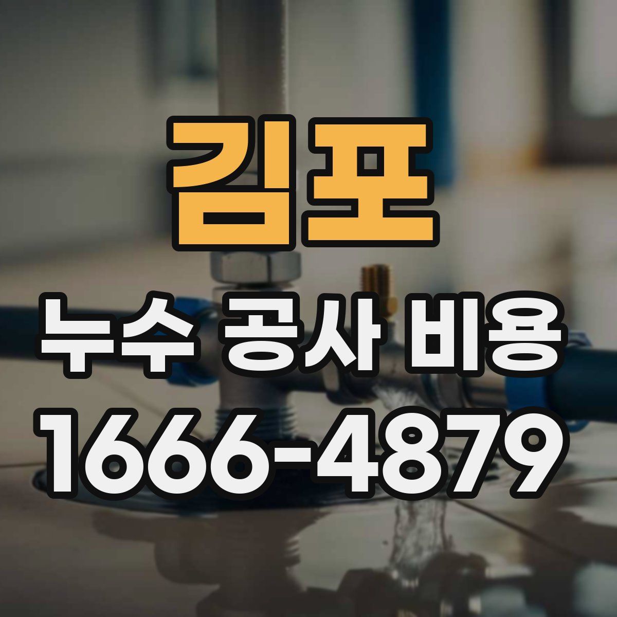 김포 누수 공사 비용