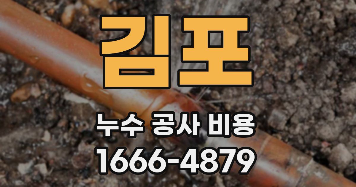 김포 누수 공사 비용