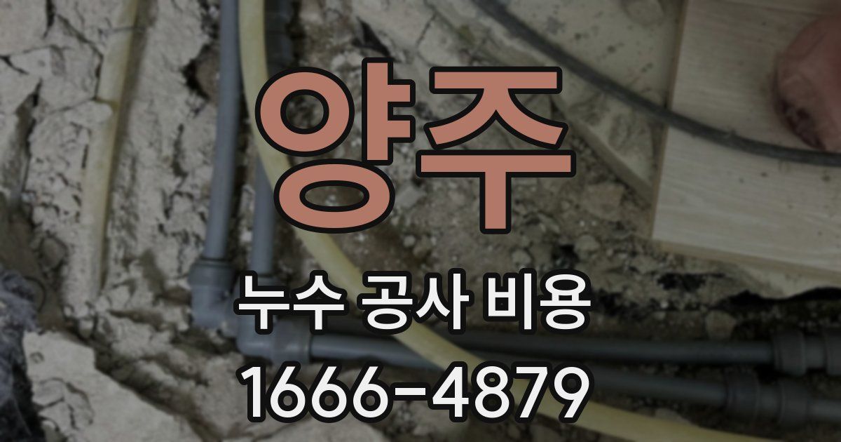 양주 누수 공사 비용