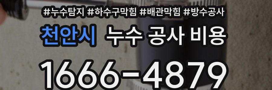 천안시 누수 공사 비용