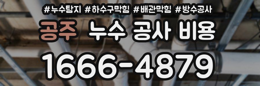 공주 누수 공사 비용