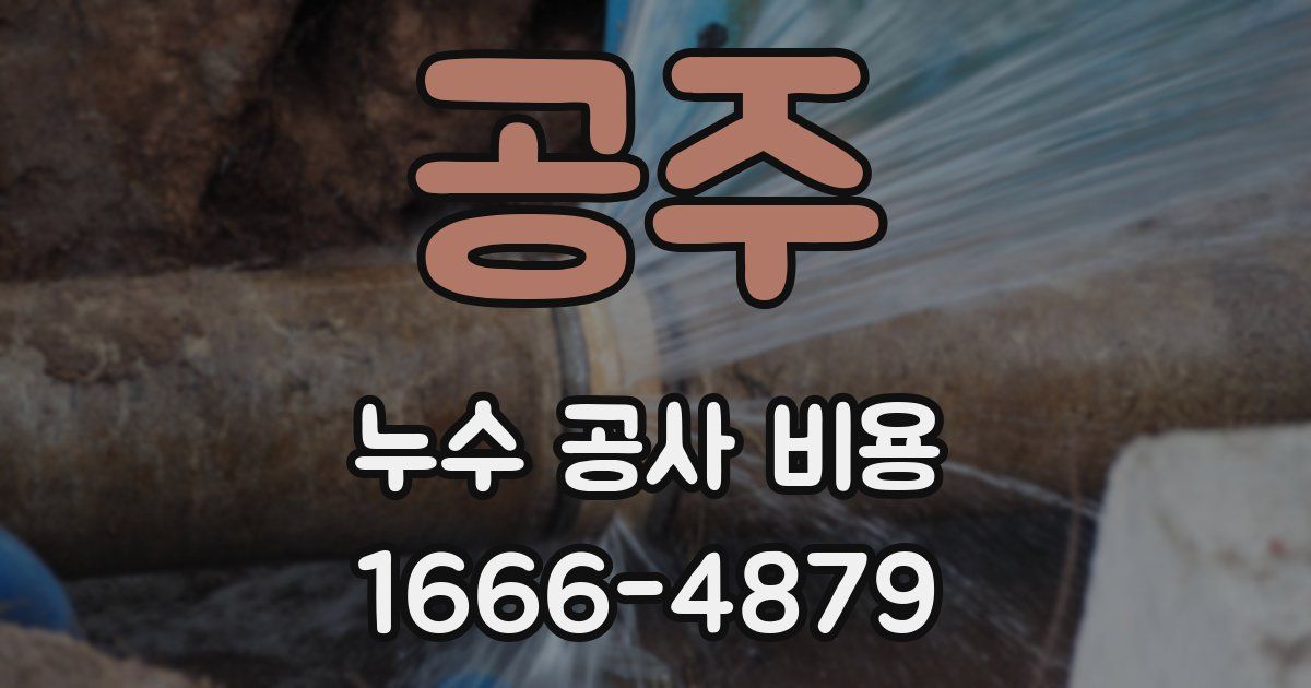 공주 누수 공사 비용