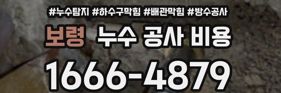 보령 누수 공사 비용