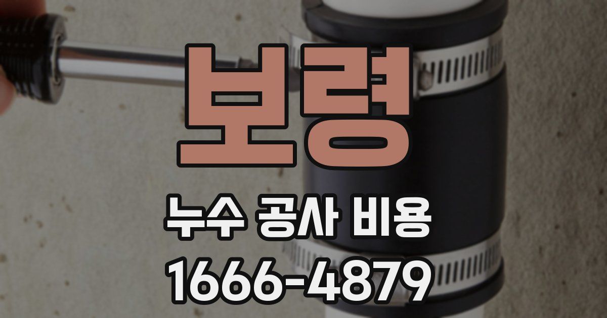 보령 누수 공사 비용