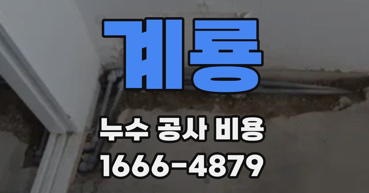 계룡 누수 공사 비용