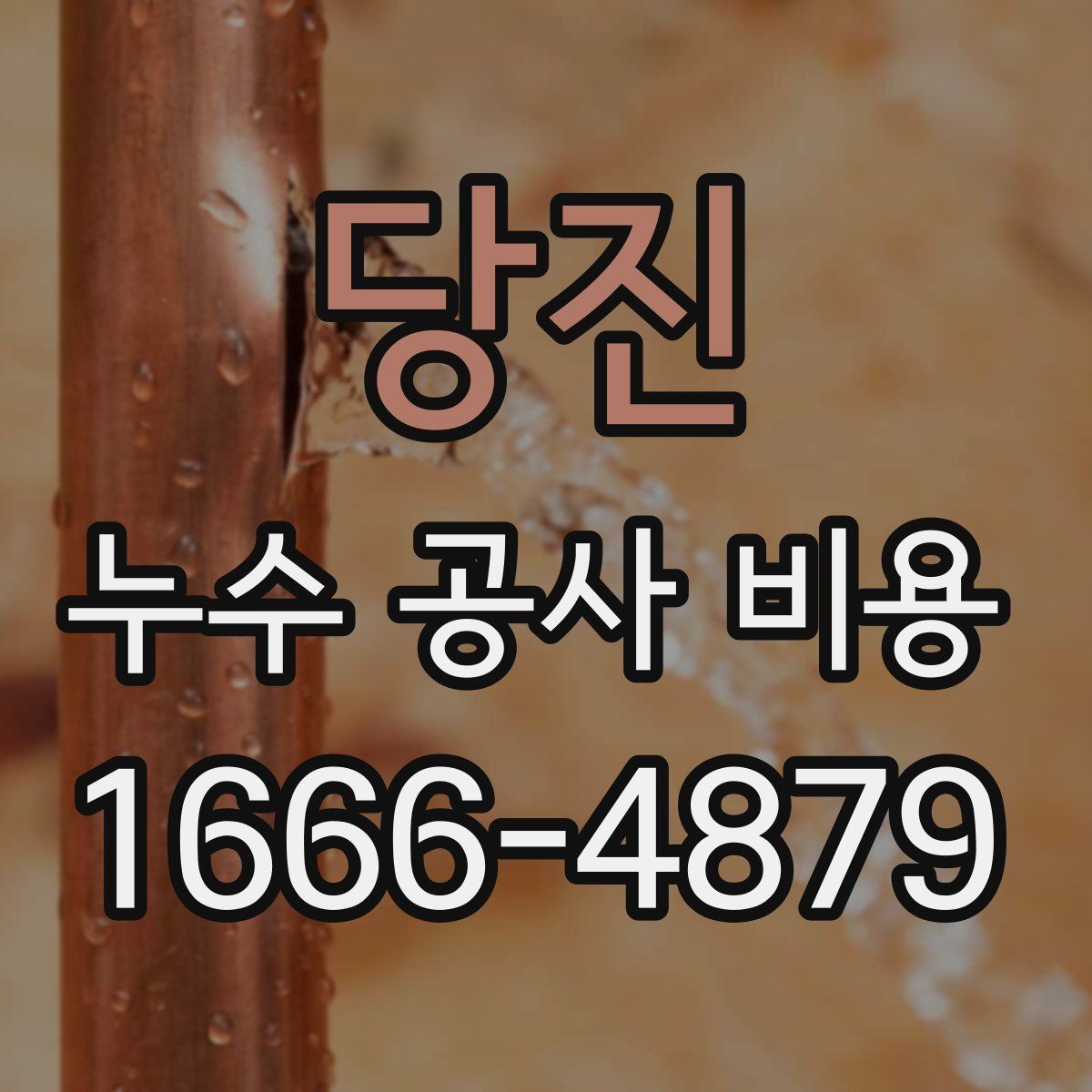 당진 누수 공사 비용