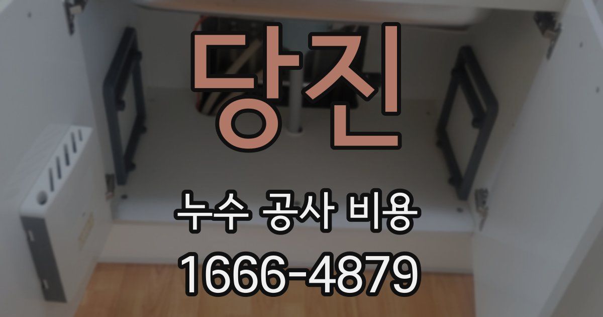 당진 누수 공사 비용
