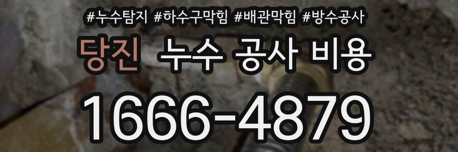 당진 누수 공사 비용