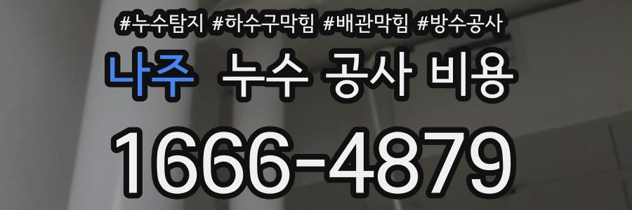 나주 누수 공사 비용