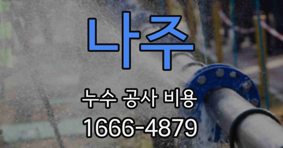 나주 누수 공사 비용