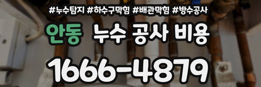 안동 누수 공사 비용