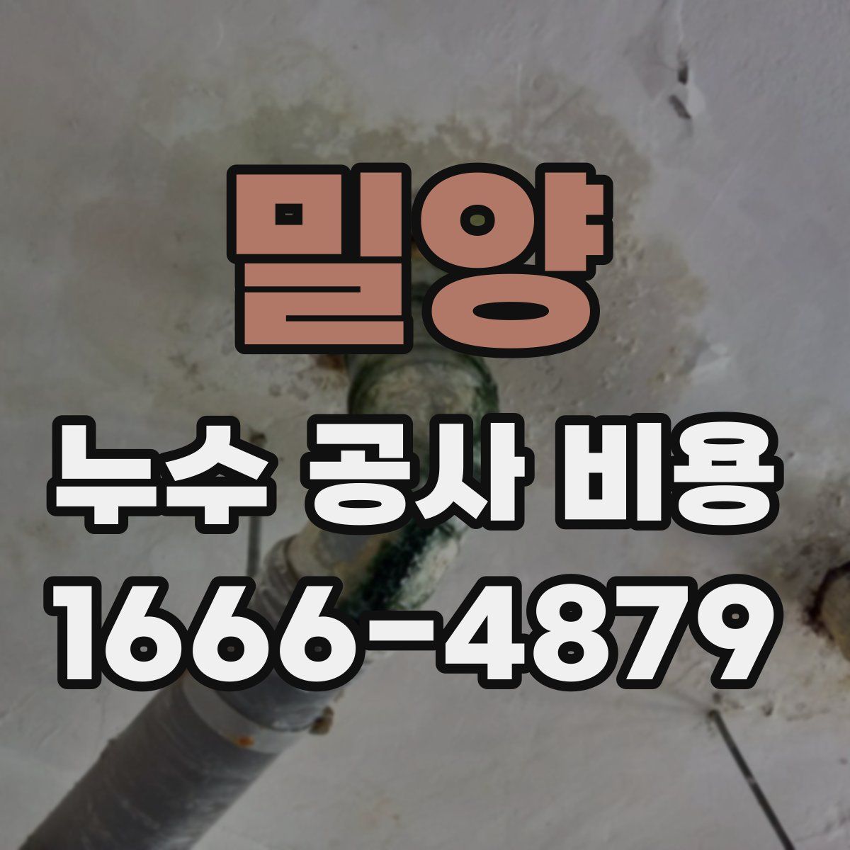 밀양 누수 공사 비용