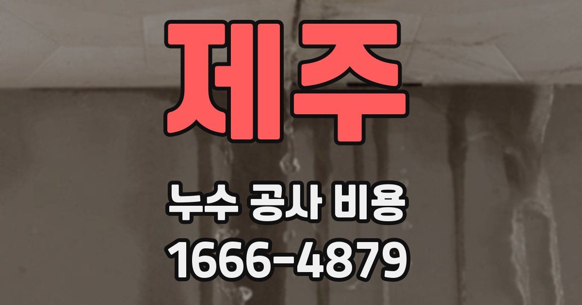제주 누수 공사 비용