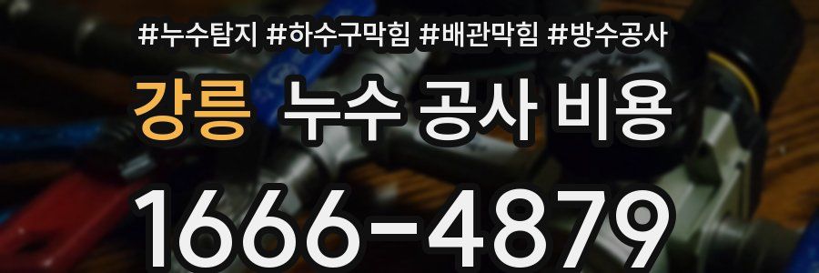 강릉 누수 공사 비용