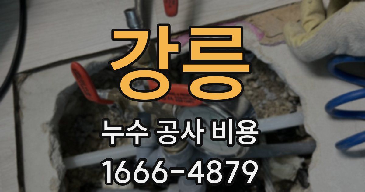 강릉 누수 공사 비용
