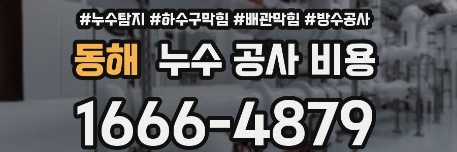 동해 누수 공사 비용