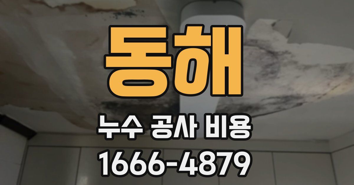 동해 누수 공사 비용