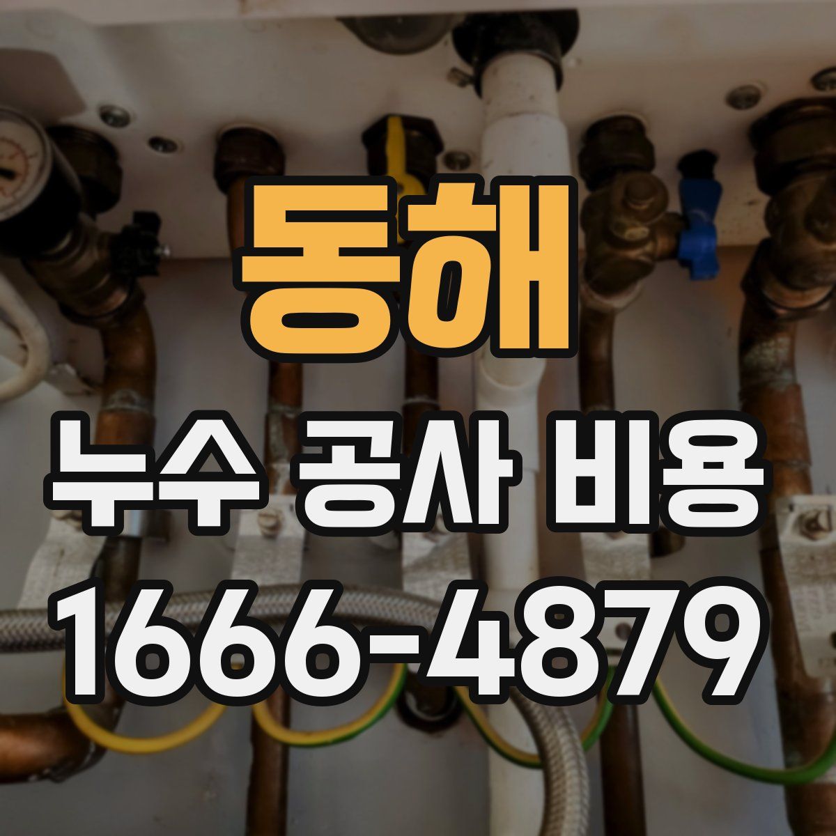 동해 누수 공사 비용