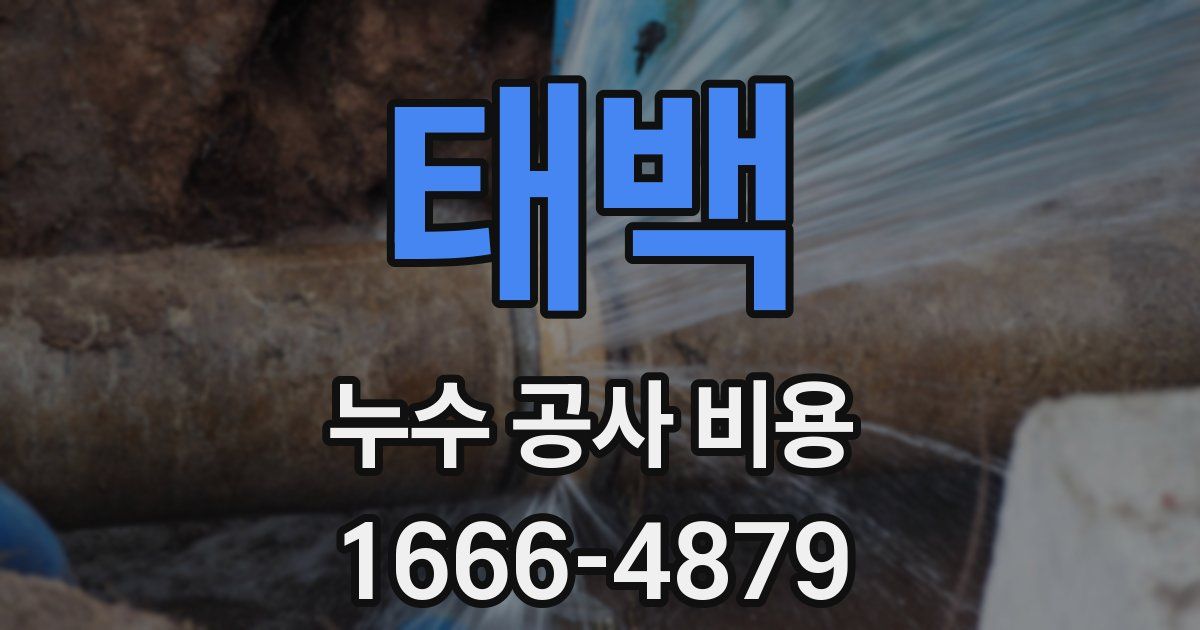 태백 누수 공사 비용