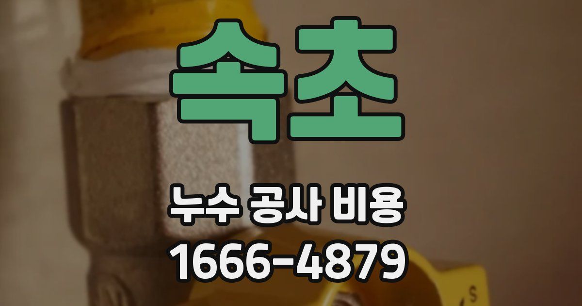 속초 누수 공사 비용