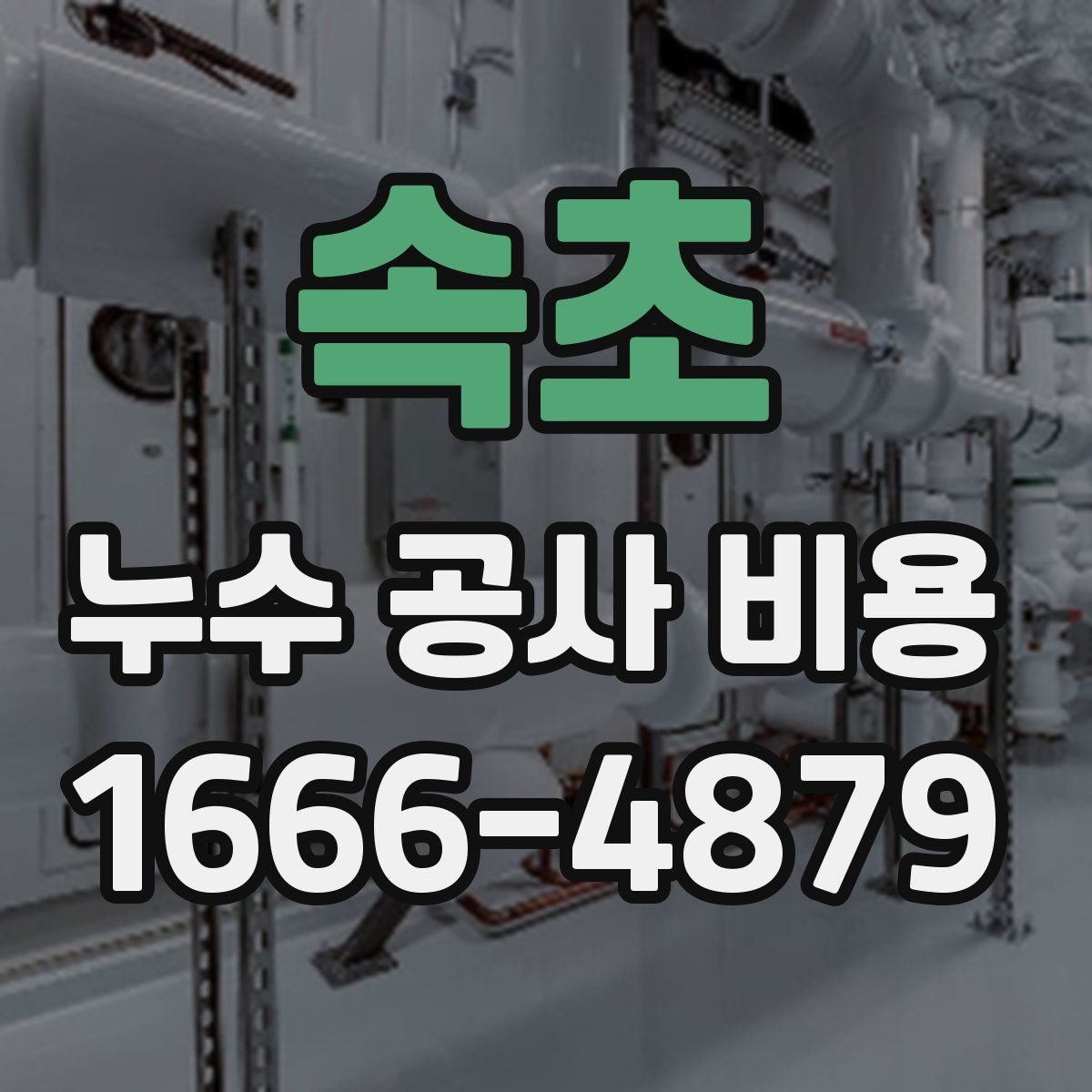 속초 누수 공사 비용