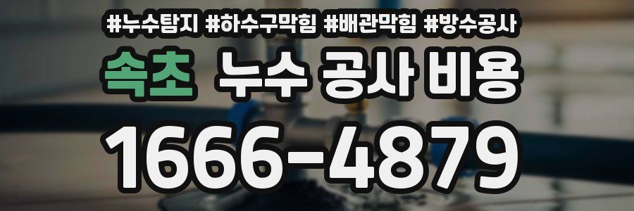속초 누수 공사 비용