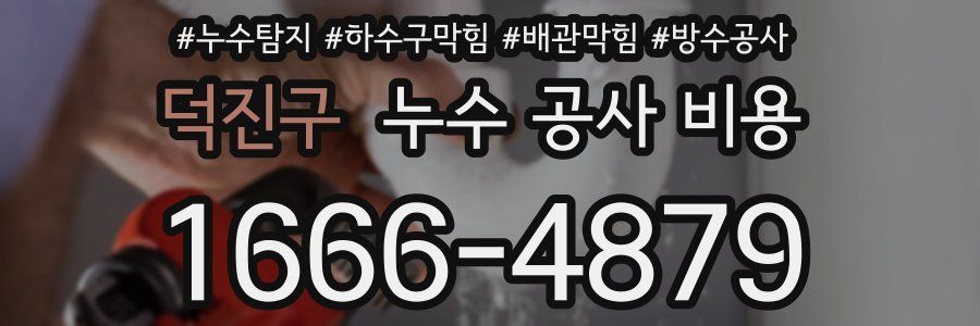 덕진구 누수 공사 비용
