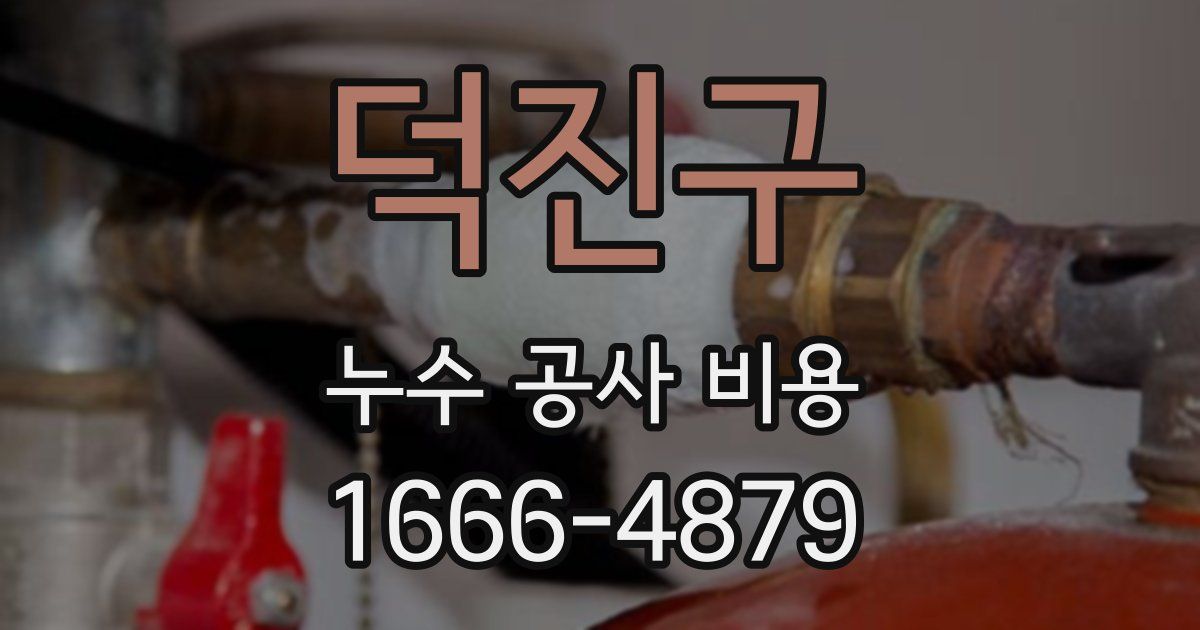 덕진구 누수 공사 비용