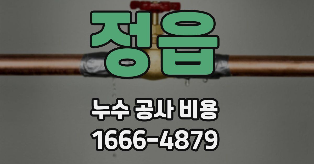 정읍 누수 공사 비용