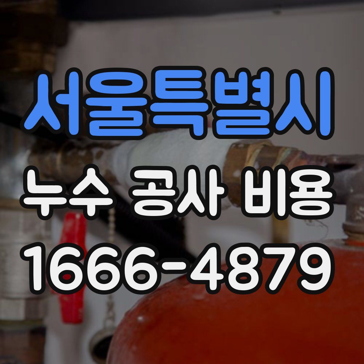 서울특별시 누수 공사 비용