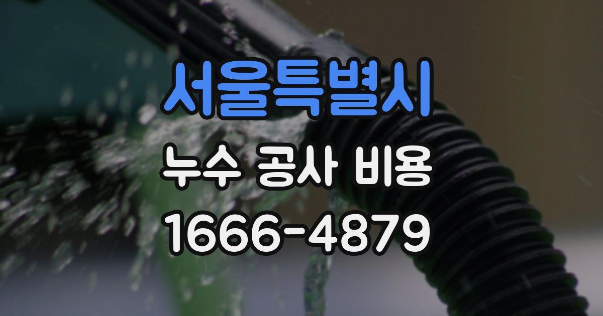 서울특별시 누수 공사 비용