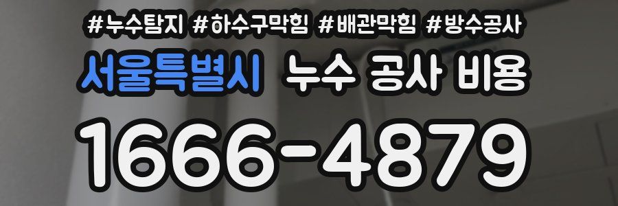서울특별시 누수 공사 비용