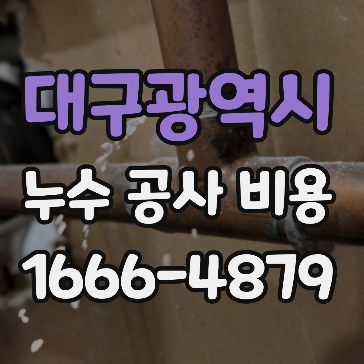 대구광역시 누수 공사 비용