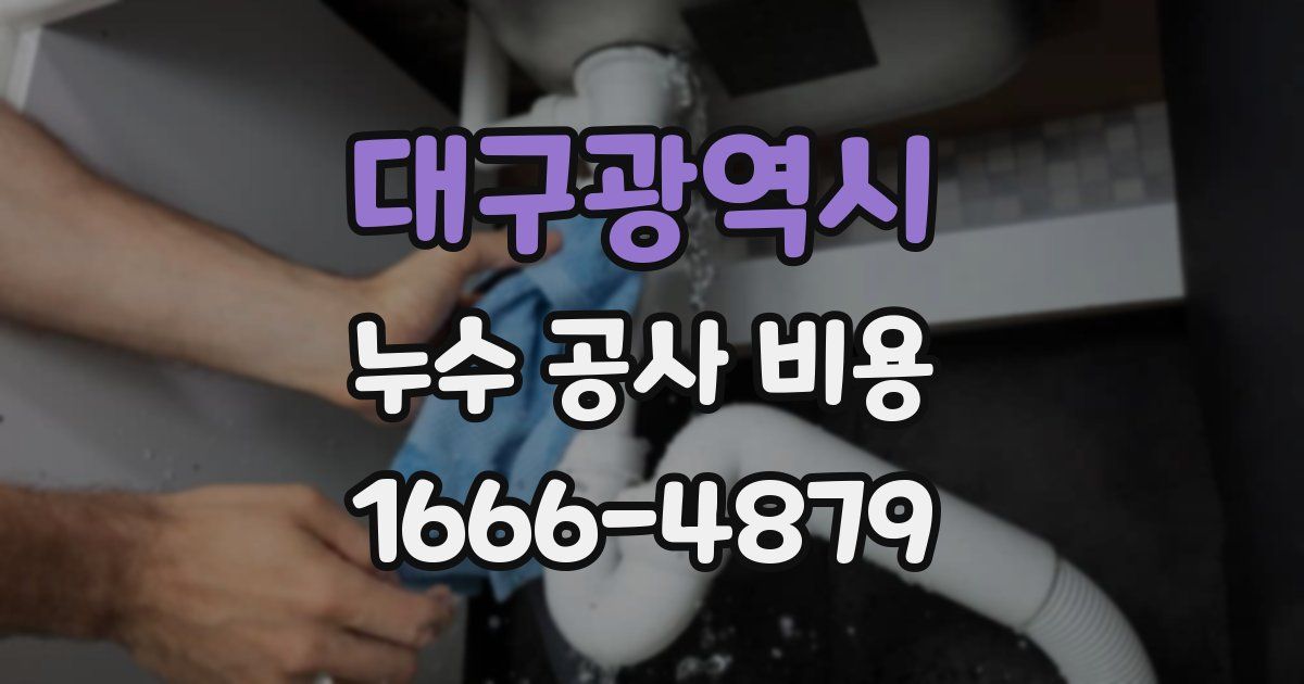 대구광역시 누수 공사 비용