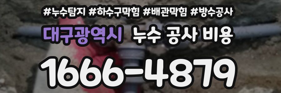 대구광역시 누수 공사 비용