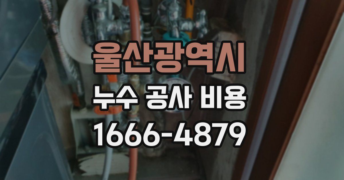 울산광역시 누수 공사 비용