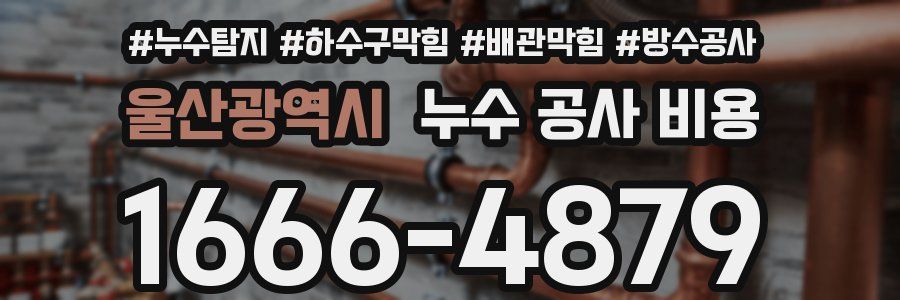 울산광역시 누수 공사 비용