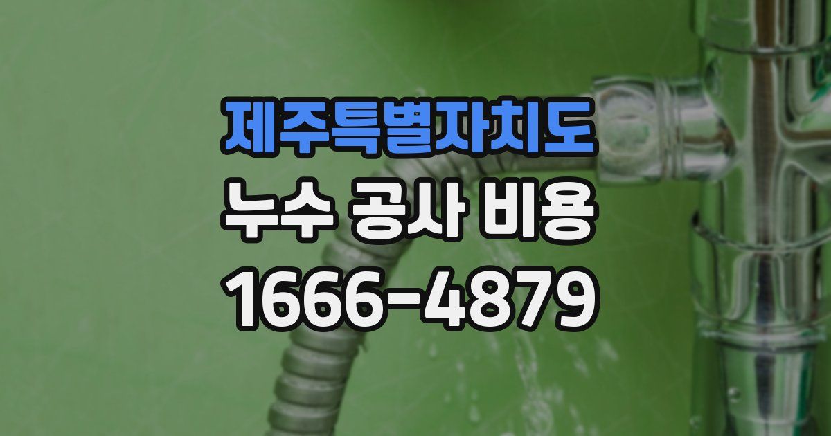 제주특별자치도 누수 공사 비용